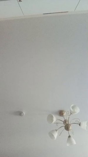 хочу добыть себе 1000 подписчиков