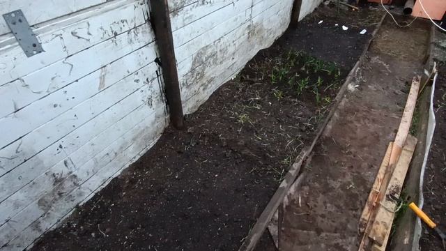 эксперимент, самой интересно😃