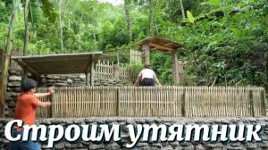 Строим современный и удобный бамбуковый утиный курятник