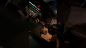 copy_4994D79B-DC17-411B-AE8B-1C40F7B71671