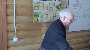 Кашковский В.Г. пчеловождение  многокорпусных ульях Рут ( Архив)