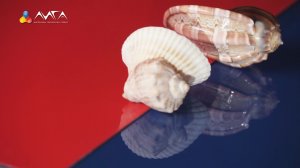 479. Глянцевая отделка на металле и МДФ с JB D600