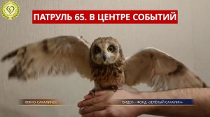 ПАТРУЛЬ 65. Поджог на Амурской, трактор скрылся с места ДТП и спасение совы. Сахалин 17.03.26