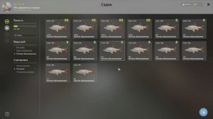 РР4 Комариное. Плотва