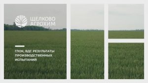 Работа ГЛОК, ВДГ против мака и подмаренника!