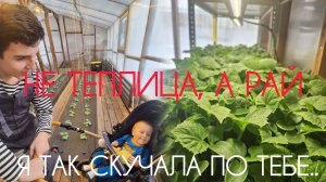 Зима на Алтае, а мы живём в теплице, в которой создали лето