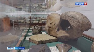 Юные исследователи в Костроме будут искать первобытное «оружие»