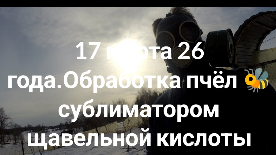17 марта 26 года.Обработка пчёл 🐝 сублиматором щавельной кислоты ,есть ли клещ.