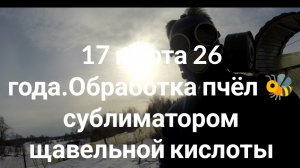 17 марта 26 года.Обработка пчёл 🐝 сублиматором щавельной кислоты ,есть ли клещ.