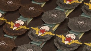 Более 2 тысяч спортсменов приехали на турнир по каратэ в Рязани