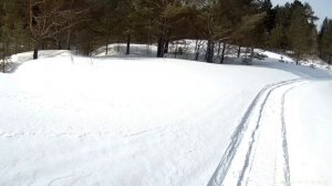 Прогулка по родным местам, экскурсия.