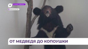 В Хорольском историко-краеведческом музее представлена почти вся фауна Приханкайской низменности