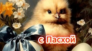 Видео поздравление с Пасхой Великой светлой 🐣✨
