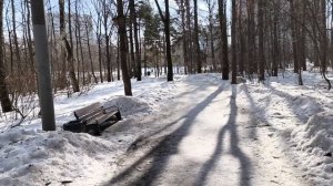 17 марта Очень полезный получился день.