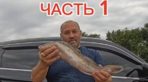1ч РЫБАЛКА КАМЕНЬ НА ОБИ.Алтайский край.