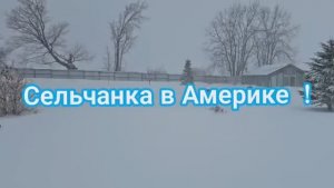 Сельчанка в Америке / США ЗАКРЫЛИ МАГАЗИН COSTCO