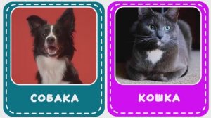 Учимся говорить. Логопедические карточки для самых маленьких. Карточки Домана