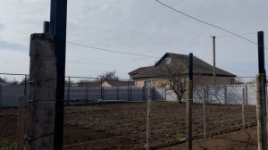 Шпалера для винограда