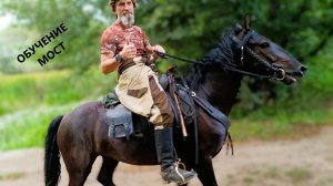 Лошади.Приучение к железному мосту.