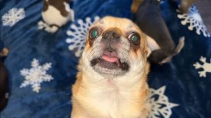 Доброго утречка и чудесного воскресенья.