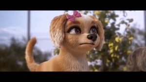 🎬Пушистый вояж