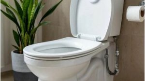 Нижняя подача: сборка и регулировка запорной арматуры унитаза.