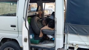 Получение Лесного Кота. Владивосток