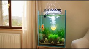 солнечный зайчик