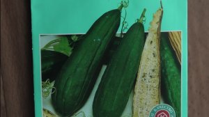 Первые и вторые всходы люффы на рассаду