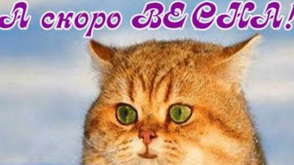 СП Вязальный переполох А скоро Весна ❤️ Отчёт Март 1 с Еленой Велиной