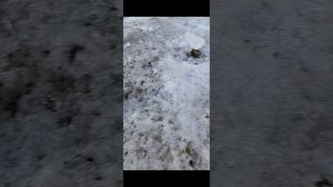 1 сезон 5 серия