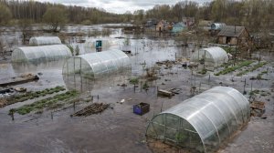 Реки выходят из берегов в Беларуси. Пыльная буря и туман в Казахстане. Погода в СНГ