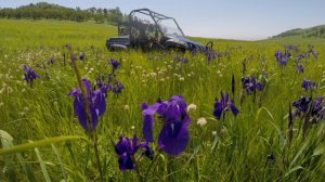 Авария  при сьемке Переворот на Rhino YAMAHA  Хасанский район Андреевка