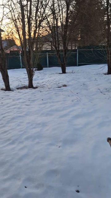 📍Дом 133м | участок 7,5 соток |  д.Леоново, г.о. Истра