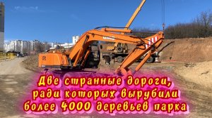 Две странные дороги, ради которых вырубили более 4000 деревьев парка / Архив от 30.03.2025