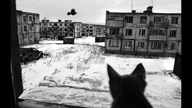 saiqo prod - симптомы / андер бит