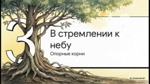 Биология 6 класс параграф 9 ВИДОИЗМЕНЕНИЯ КОРНЕЙ краткий пересказ