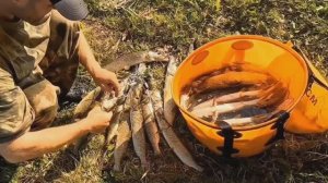 РЫБАЛКА В СЕКРЕТНЫХ МЕСТАХ. АЛТАЙСКИЙ КРАЙ.