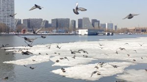 Весна на Москва-реке природа пробуждается.