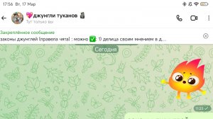 новости...(создала макс канал?!)