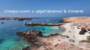 Снорклинг с черепахами в Омане: цена, погода, стоит ли ехать?