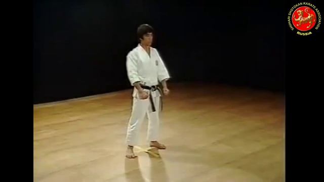 17 - Ката Сочин (Sochin) Шотокан Каратэ