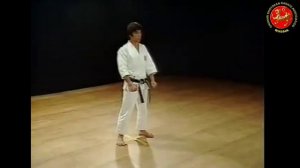 17 - Ката Сочин (Sochin) Шотокан Каратэ