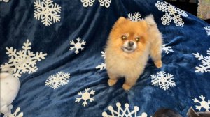 Доброго утра и прекрасного всем настроения!