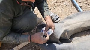 Бешеный автосервис. Пакистан