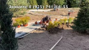 Ландшафтный дизайн под ключ