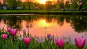 Приятного вечера. Красивая музыкальная открытка.