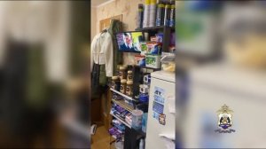 Новгородская полиция задержала группу похитителей товаров из сетевых магазинов в 3 регионах России