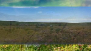 🕌 🇰🇿 🎀🫶🏻💌💓 "Екі жирен" 💖💚💙 Димаш, М.Әуелбекова, М.Смағұлова. 2016ж. 🎀🫶🏻💌💓 🇰🇿 🕌