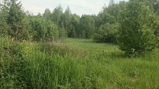 Участок СНТ Опушка 650т.р.